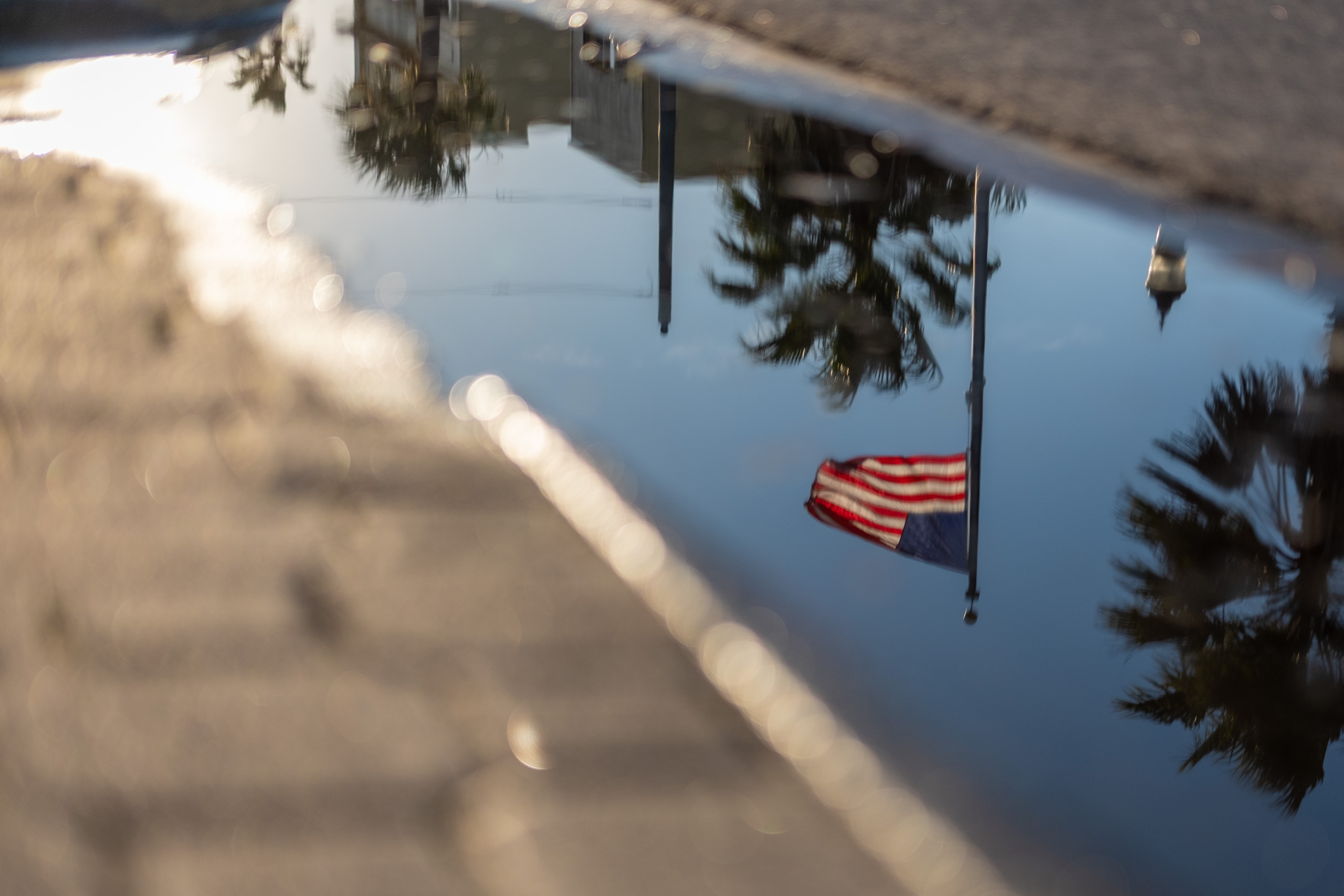 Flag Reflection