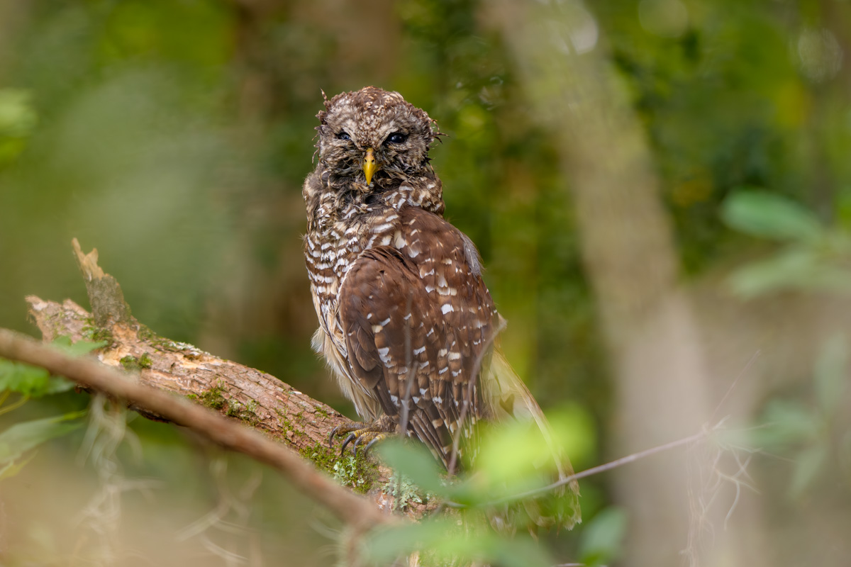 Why are you looking at me?