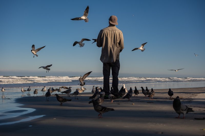 Beach Bird Man