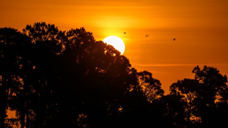 Sunrise Silhouette